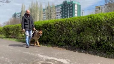 Koruyucu maskeli bir adam şehirde bir köpeği gezdirir. Karantina sırasında bir evcil hayvanla vakit geçirmek. Temiz havada Alman çobanlarıyla yürüyün. Kendini izole etme ve koruma modu. Ağızlıklı, iri yarı bir erkek..