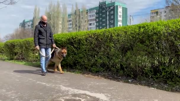 Mannen i skyddsmask rastar en hund på gatan i stan. Fritid med husdjur under karantänen. Gå med tyska herden i frisk luft. Självisolering och skydd. Stor ras hane i nosen. — Stockvideo