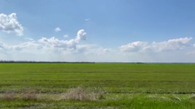 Bahar manzarası. Bulutlu mavi gökyüzünün arka planında yeşil çimenler olan bir tarla. Bir arabanın ya da trenin penceresinden bak. Yazın seyahat..