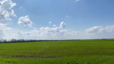 Bahar manzarası. Bulutlu mavi gökyüzünün arka planında yeşil çimenler olan bir tarla. Bir arabanın ya da trenin penceresinden bak. Yazın seyahat..