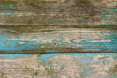 Eski kahverengi ahşap arka plan, kabuğu soyulmuş boya ve yeşil küf. Grunge tarzında doğal ahşap. Üst Manzara. Çiğ düzlemli kozalaklı çam ağacı dokusu. Düz atış yapmak için masanın yüzeyi. Boşluğu kopyala.