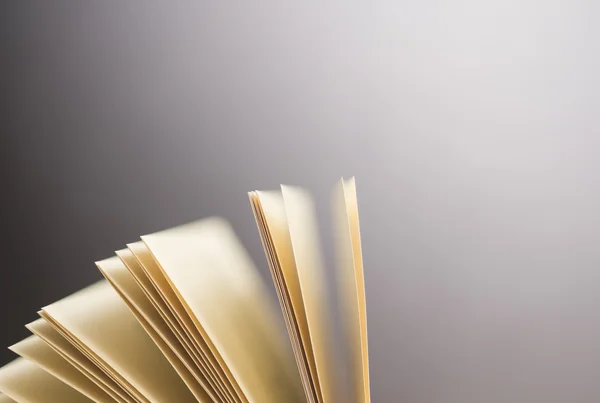 Open book pages — Stock Photo, Image