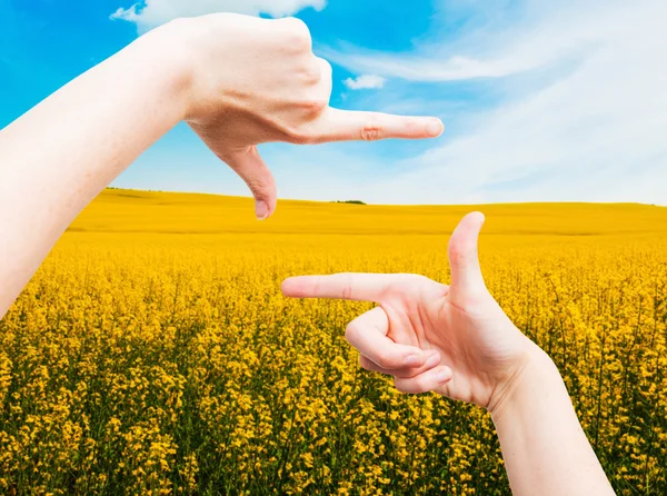 Mani che fanno una cornice — Foto Stock