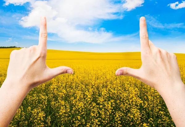 Mani che fanno una cornice — Foto Stock