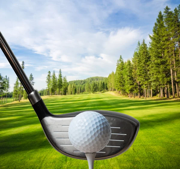 Golfschläger kurz davor, einen Golfball zu treffen Stockfoto