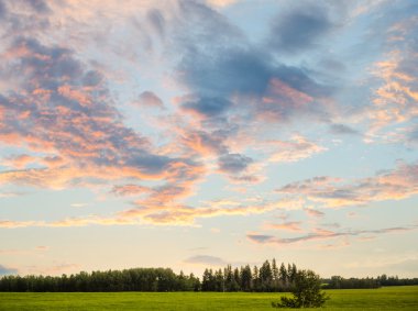 Gün batımında yeşil alan