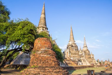 Antik pagoda adlı Wat Mahathat Tapınağı, Ayutthaya, Tayland ziyaret etmek için turizm seyahat