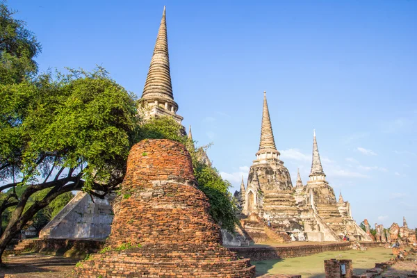 Туристические поездки, чтобы посетить древнюю пагоду в храме Ват Махата, Аюттхая, Таиланд — стоковое фото