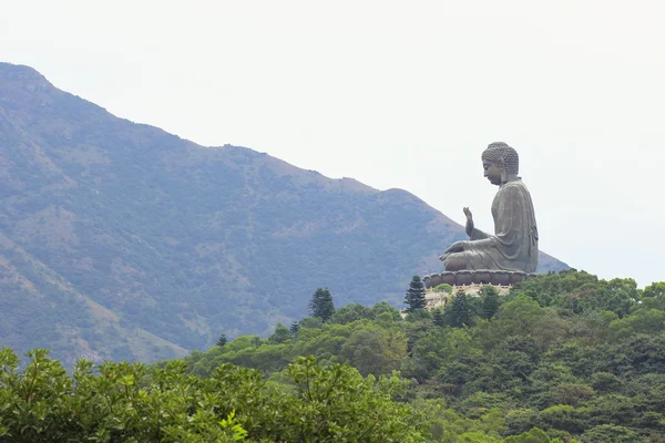 NGONG PING, HONGKONG - DEC08,2015: Tian Tan Buddha - The worlds' — Φωτογραφία Αρχείου