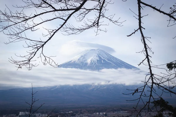 Montagne Fuji Fujisan Avec Cadre Branches — Photo