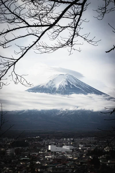 Fuji Βουνό Fujisan Πλαίσιο Των Υποκαταστημάτων — Φωτογραφία Αρχείου