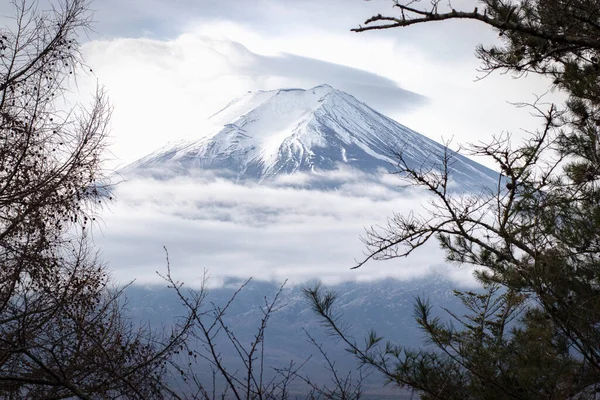 Montagne Fuji Fujisan Avec Cadre Branches — Photo