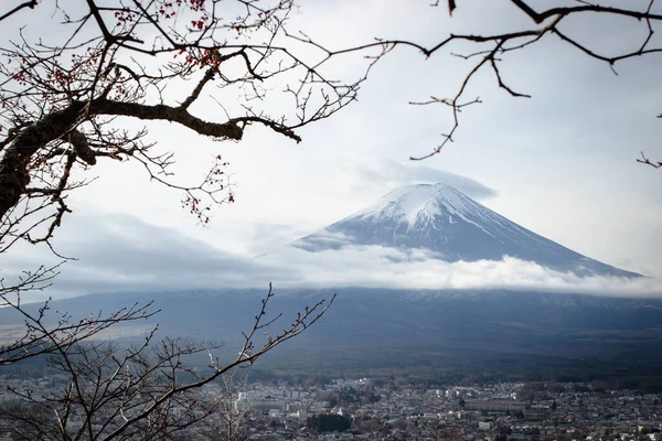 Fuji Βουνό Fujisan Πλαίσιο Των Υποκαταστημάτων — Φωτογραφία Αρχείου