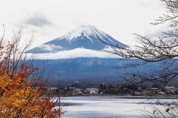 Montagne Fuji Fujisan Avec Cadre Branches Feuilles Érable — Photo