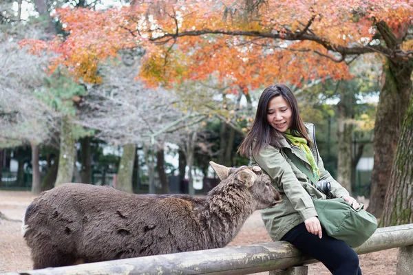 Young Woman Feeding Deer Biscuit Nara Wild Deer Public Park — Stock Photo, Image