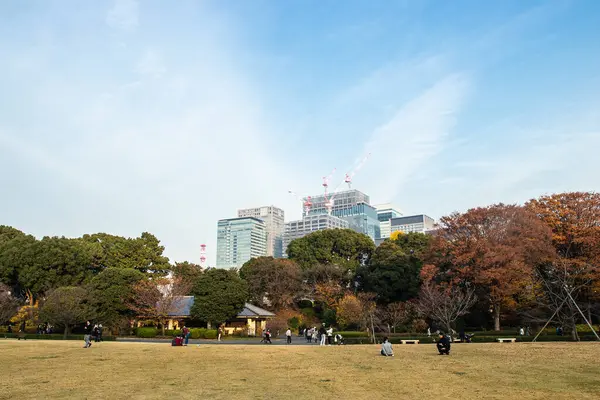 東京都 2018年12月7日 東京の中心部にある堀と巨石の壁に囲まれた大きな公園エリア 江戸城の跡地に位置する皇居公園の景観 — ストック写真