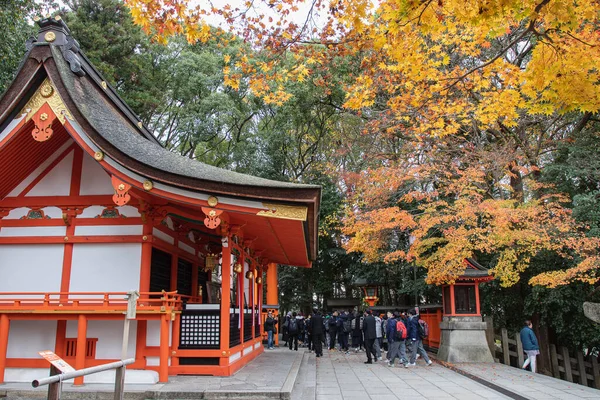 Kyoto Japan Dec11 2018 Tourist Travel Visit Maple Leaves Fushimi — Stock Photo, Image