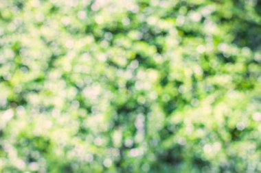 Soyut doğa arkaplanı