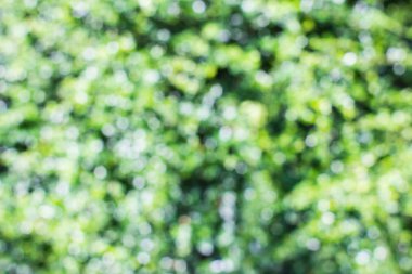 Soyut doğa arkaplanı