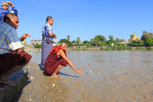 Yangon, myanmar - dec 16, 2012: det burmesiska folket utfodring — Stockfoto