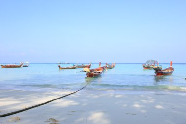 Longtail tekne için ziyaret güzel beach Koh Lipe, Tayland