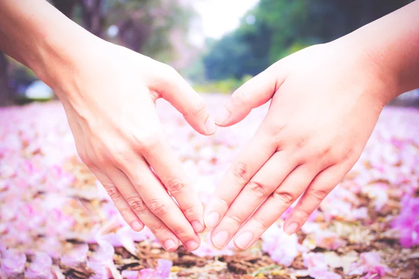 Vintage of hand in heart on pink flower background — Stock Photo, Image