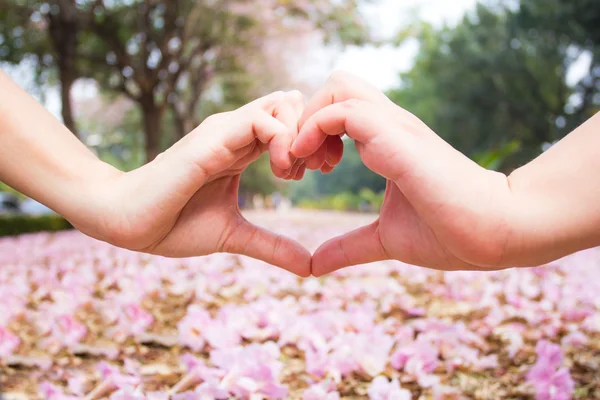 Vintage of hand in heart on pink flower background — Stock Photo, Image