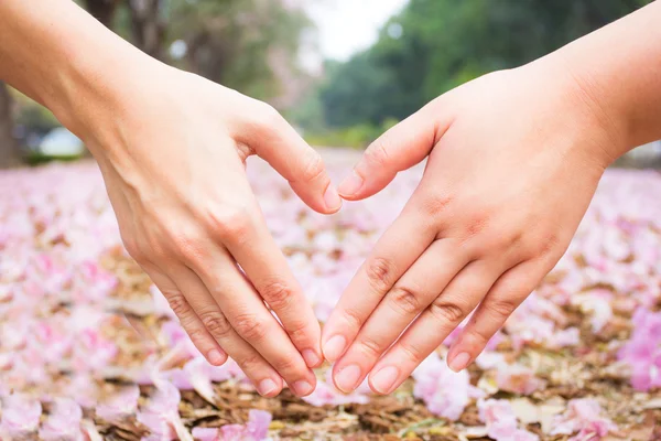 Hand in heart on pink flower background — Stock Photo, Image