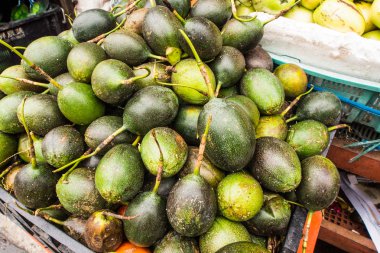 Fresh betel nut for sale in the market. (Areca catechu) clipart