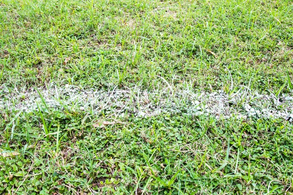 Λευκή γραμμή στο πράσινο γήπεδο για το ποδόσφαιρο παιχνίδι — Φωτογραφία Αρχείου