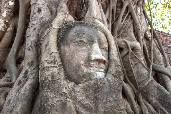 Cabeça de Buda de arenito nas raízes das árvores de Wat Mahathat, Ay — Fotografia de Stock