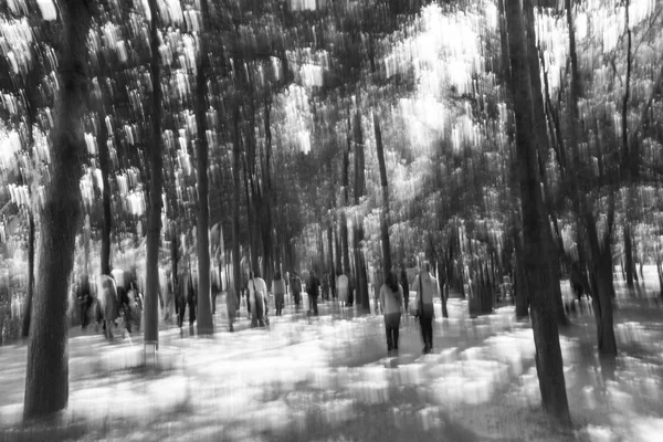 在森林中行走的人的黑白模糊图像. — 图库照片