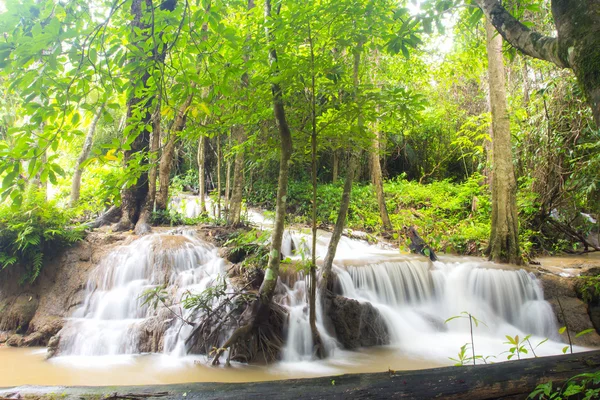 Cascade Keingkravia à sangkhlaburi, Kanjanaburi. Thaïlande — Photo