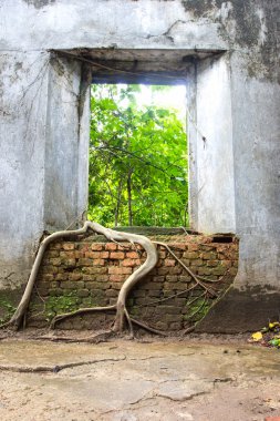 Ağaç kökleri antik tapınak duvarları, Sangkhlaburi bastıran