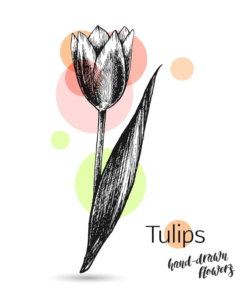 Fleur de tulipe monochrome — Image vectorielle