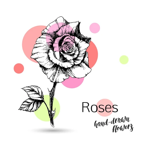 Fleur rose monochrome — Image vectorielle