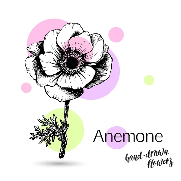 Fleur d'anémone monochrome — Image vectorielle