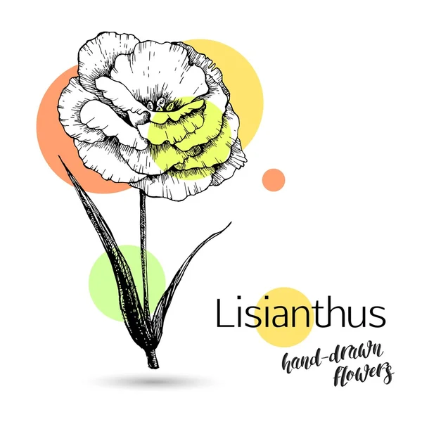 Monokrom lisianthus blomma — Stock vektor