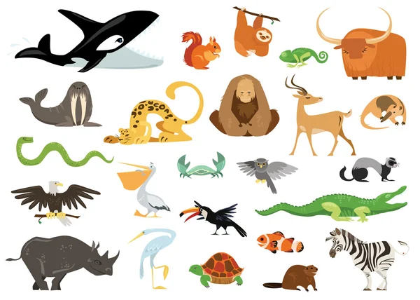 Ensemble d'animaux de dessin animé mignons, serpents, oiseaux, poissons habitant la planète terre. Faune et flore tropicales, exotiques, arctiques, océaniques. Crocodile joyeux, épaulard, icônes de gorille isolé sur fond blanc . — Image vectorielle