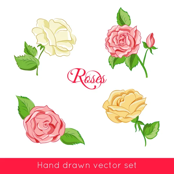 Ensemble de quatre roses colorées dessinées à la main — Image vectorielle