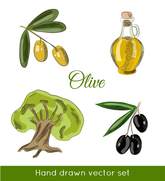 Set di olive disegnate a mano . — Vettoriale Stock