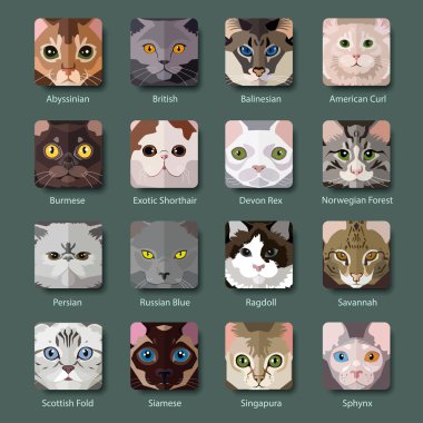 Doğurmak-in Cats simgeler