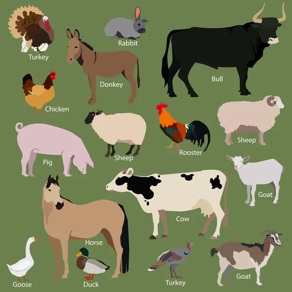 Ícones de animais de fazenda —  Vetores de Stock