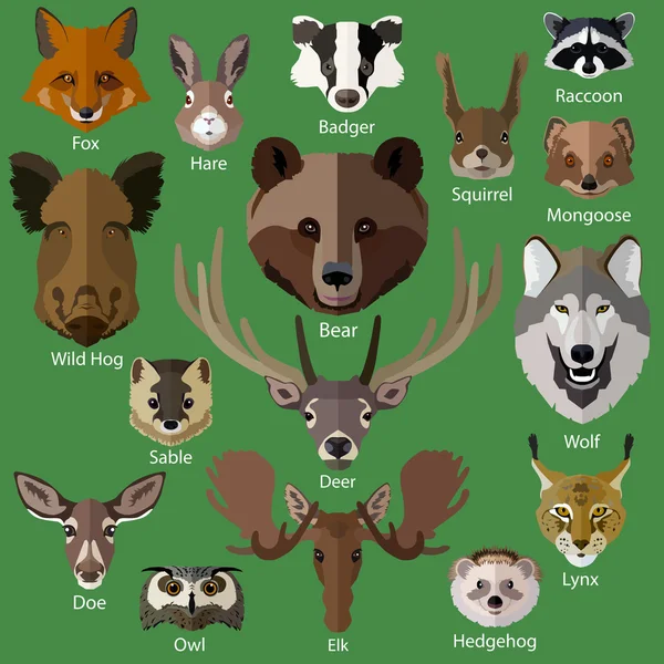 Conjunto de animales forestales — Vector de stock