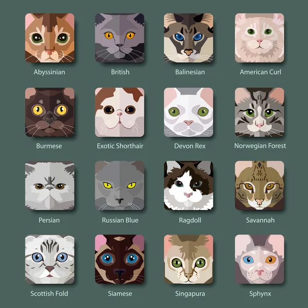 Razas de gatos iconos — Vector de stock