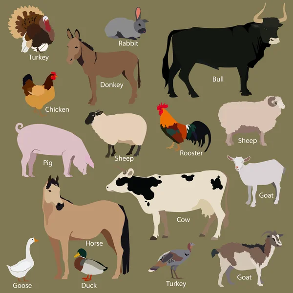 Set of farm animals — Stock Vector