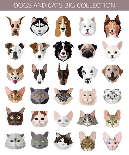 335 Border Collie Cartoon Vectors Free Royalty Free Border Collie Cartoon Vector Images Depositphotos 335 Border Collie Cartoon Vectors Free Royalty Free Border Collie Cartoon Vector Images Depositphotos