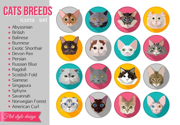 Ensemble de races populaires de chats icônes — Image vectorielle