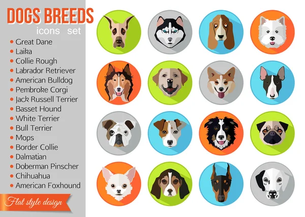 Conjunto de razas populares de perros iconos — Vector de stock