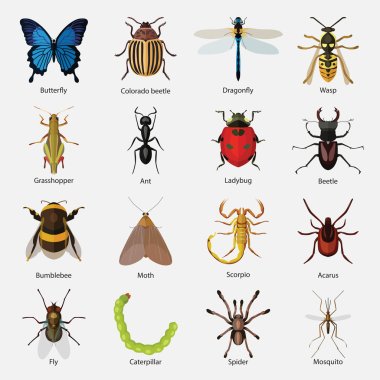 Set of insects flat style design icons.